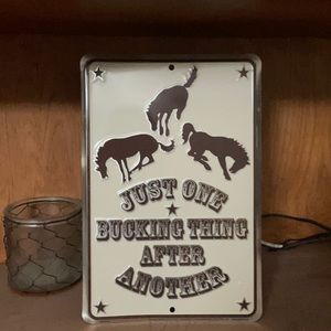 WESTERN HOME DECOR